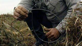 Old School: How To Set Up A Snare Trapline For Foxes