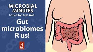 Probiotic bacteria evolve in the gut microbiome