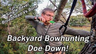 Backyard Bowhunting, Single Bevel Broadhead Breaks Bone. Virginia Deer Hunting. VPA Omega Review