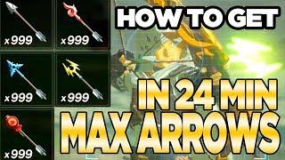 7 Ways to Get MAX ARROWS in Breath of the Wild | Austin John Plays