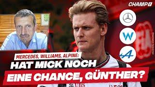 Mick Schumacher: Ist die WEC geeignet, um sich für die Formel 1 zu empfehlen? DAS sagt Steiner