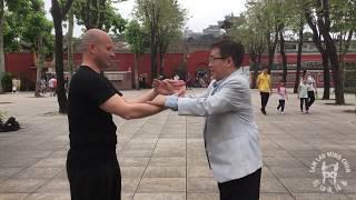 Wing Chun Foshan Zumiao - Master Sam Lau & Furio