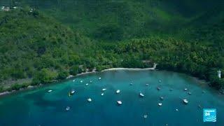 Guadeloupe: Treasures of the butterfly archipelago • FRANCE 24 English