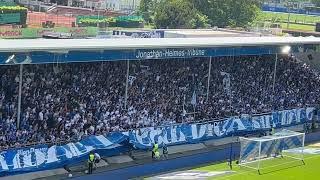 SV Darmstadt 98 - TSG Hoffenheim (12.05.2024) - Die Lilie im Herzen