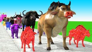 Paint Animals Cow Cartoon,Buffalo,Bull,yak,Ox,Fountain Crossing Animal Game New