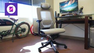 Flexispot OC6 Ergonomic Chair Review: An Affordable Alternative