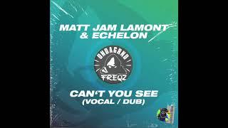 Matt Jam Lamont & Echelon - Can't You See (Vocal) [Undagrnd Freqz]