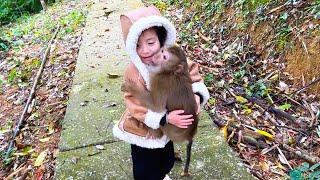 Monkey Kaka and Diem hug each other affectionately after many days apart