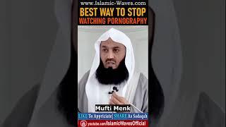Best Way To Stop Watching Pornography By Mufti Menk