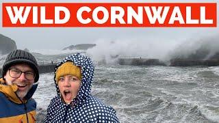 WILD Cornwall! Will STORM chasing Tourists save Cornwall's FAILING tourism economy?