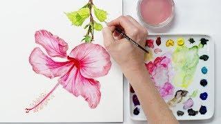 How to paint a realistic hibiscus flower in watercolour with Anna Mason