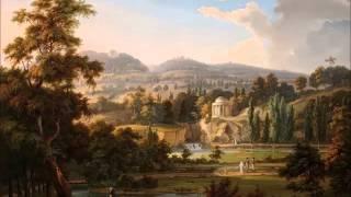 J. Haydn - Hob I:95 - Symphony No. 95 in C minor (Brüggen)