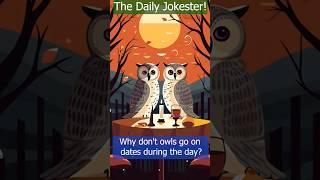 Nocturnal Romance: Two Owls Discovering Their Love for Dating! Where will they go next? #shorts