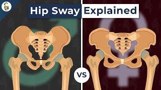 Why Do Women's Hips Sway When They Walk?