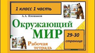 Окружающий мир 1 класс Что окружает нас дома? страница 29-30.