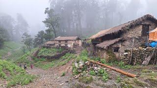 Rural Life in The Nepali Mountains in Nepal | How people Live in Nepal with Rainy Time