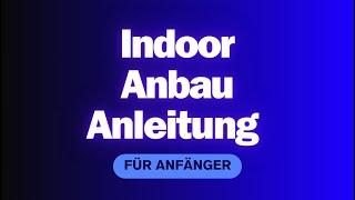 Indoor Anbau Anleitung für Anfänger -  Indoor Grow Guide für Anfänger