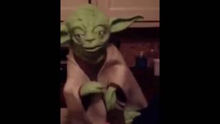 Yoda tells a funny joke (meme)