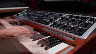 Moog Memorymoog - Rosen Sound Demo