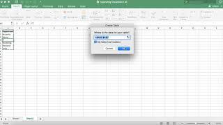 Creating Expanding Dropdown Lists | Excel | Tutorial