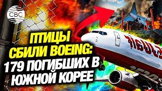 Крупнейшая авиакатастрофа года: Boeing разбился в Южной Корее