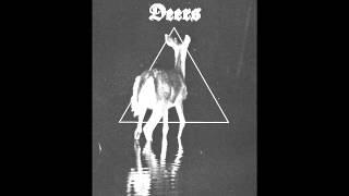 The Deers - Roar
