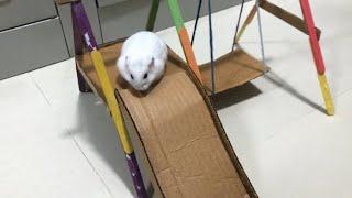 DIY slide and swing for my hamsters #hamham #hamster