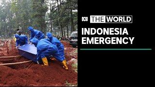 Indonesia extends emergency restrictions to fight second wave of COVID-19 | The World