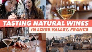 Wine Tasting in France  | Perfect Day Trip from Paris
