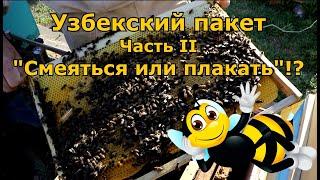 Узбекский пакет. Часть II. Смеяться или плакать!?