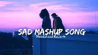Sad Mashup song - Lofi | Slowed and Reverb | HRLW