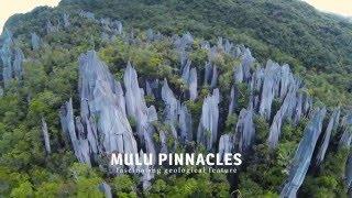 Journey to Mulu National Park & Pinnacles (Sarawak Malaysia) Ultra HD 4K