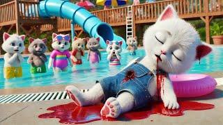 Kitten’s Accident at the Water Park While Swing#cats #cutecat #catlover