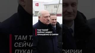 Там такой сейчас замес! Лукашенко о Сирии #лукашенко #политика #сирия #новости #война #асад