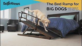 DoggoRamps - The Bed Ramp for BIG Dogs! (& medium dogs, too)