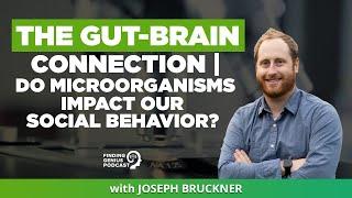 The Gut-Brain Connection | Do Microorganisms Impact Our Social Behavior?