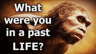 What Were You in Your Past Life? Quiz Test Personality