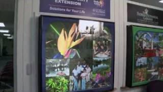 An Introduction to Pinellas County Extension