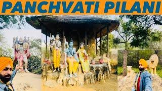 Pilani Town In Rajasthan | Panchvati | Saraswati Temple | Why Pilani Is Famous? | Hotel in Pilani.