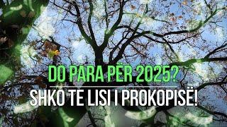 Do para për 2025? Shko te Lisi i Prokopisë! | Vlog në Dritare