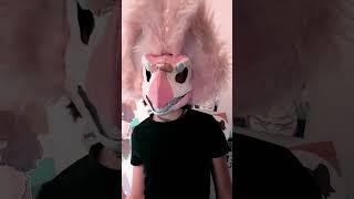 I'm a person too... #antizoo #furry #cat #art #fursuit #fyp #youtube #shorts #video #silly #nohate