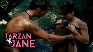 TARZAN XVERSI BERKOCO TANAM  | Alur Cerita Film tarzan shame of jane