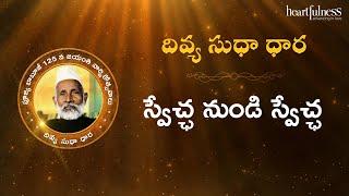 Divya Sudha Dhara | స్వేచ్ఛ నుండి స్వేచ్ఛ | Heartfulness Telugu | 20-09-2024