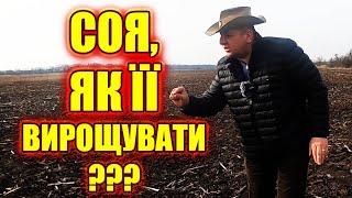 ПОСІВ СОЇ З ДОБРИВОМ, ЯКЕ МІЖРЯДДЯ ГУСТОТА, ЯКИЙ РАУНДАП НА СОЮ БОР, ФУНГІЦИД інсектицид насіння ГМО