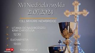 XVI Niedziela Zwykła | 22/07/2024