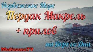 Русская Рыбалка 4 Норвежское Море Пердак Макрель + прилов на Дерг 17.09.23