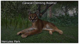 ASMR - Caracal Climbing Room! - Soft Whispering - Hercules Park - Planet Zoo Franchise Mode