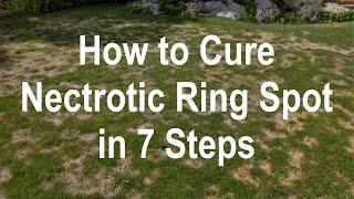 How to Cure Necrotic Ring Spot Fungus - Stop the Cause of the Problem vs Treating the Symptoms
