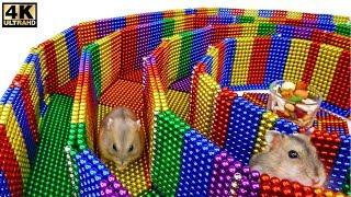 Funny Pet. Build 6-Level Circle Maze For Hamster From Magnetic Balls (Satisfying)| Magnet Satisfying