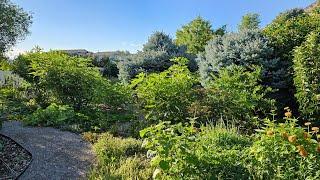 An August, Zone 7, Urban Food Forest Tour